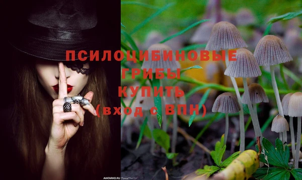 таблы Покачи